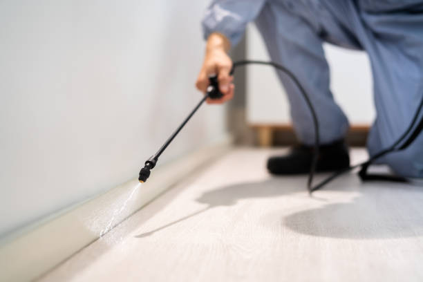 Bed Bug Pre-Treatment Preparation Assessment in Cedar Bluff