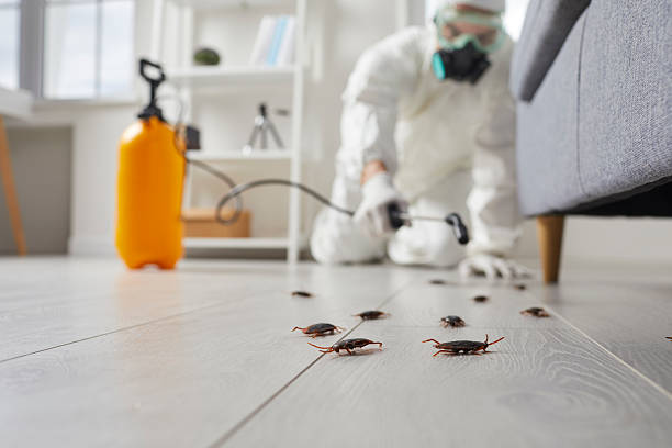 Post-Treatment Bed Bug Interceptor Monitoring in Cedar Bluff
