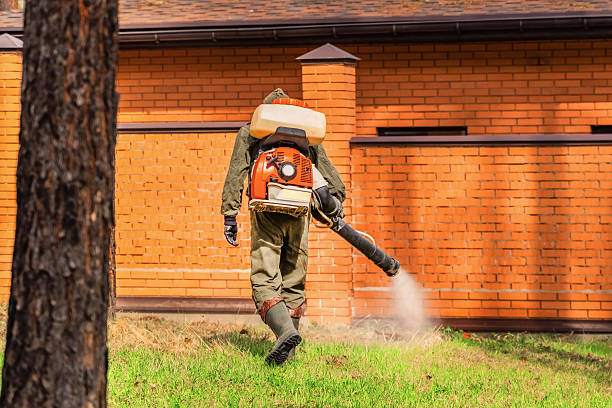Bed Bug Clearance Verification and Documentation in Cedar Bluff